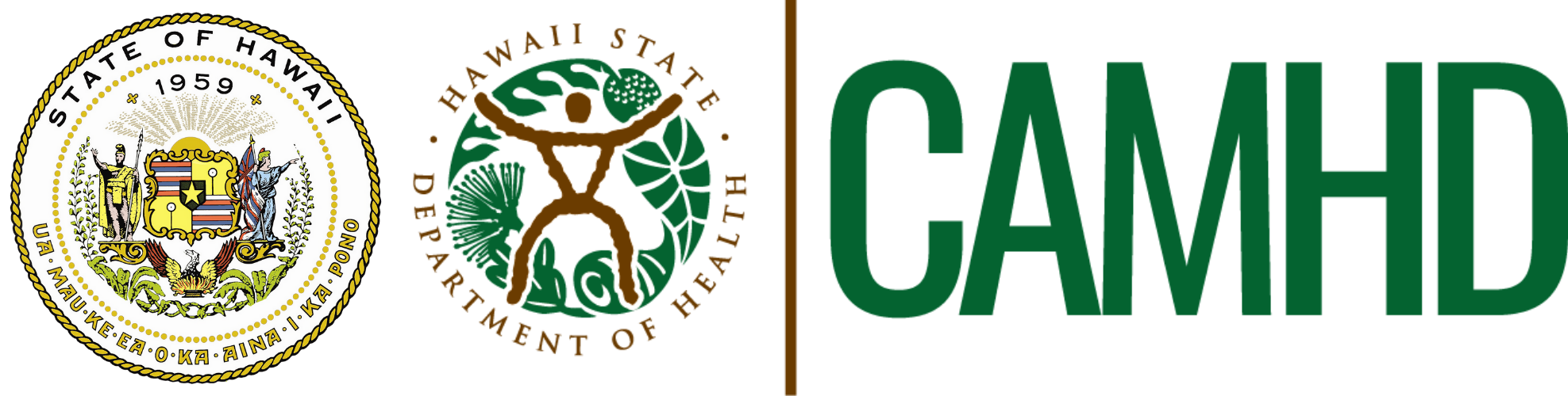 Hawaii State Department of Health CAMHD
