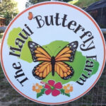 The Butterfly Farm Logo
