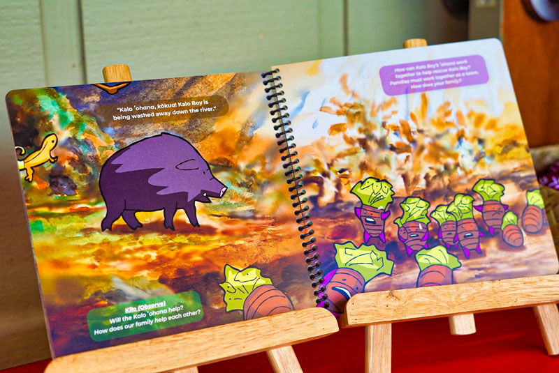 Hooikaika Partnership Kalo-Boy-book-on-stand---Kalo-Fest-2025