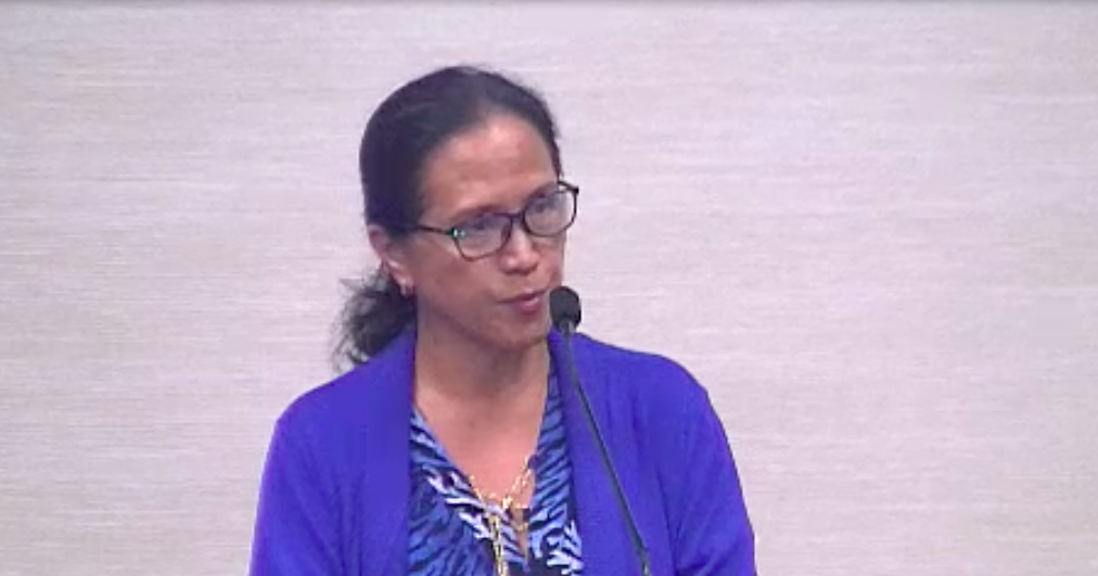 edel maui county council budget hearing